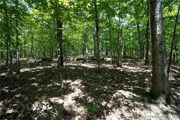 1103 Brown Bear Trail, Kansas, OK 74347