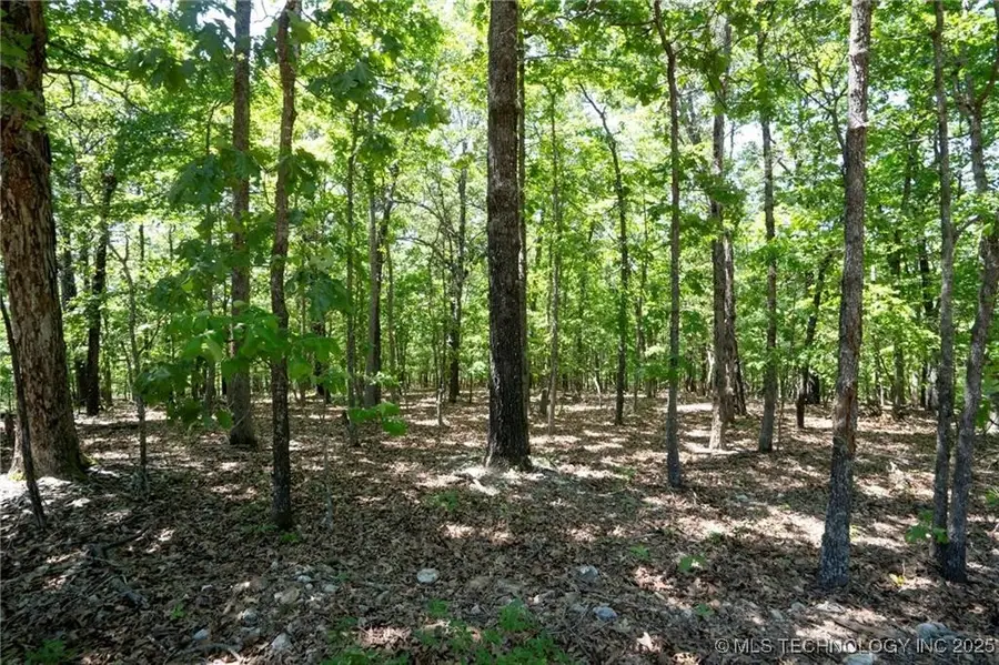 1103 Brown Bear Trail, Kansas, OK 74347 - Image #3