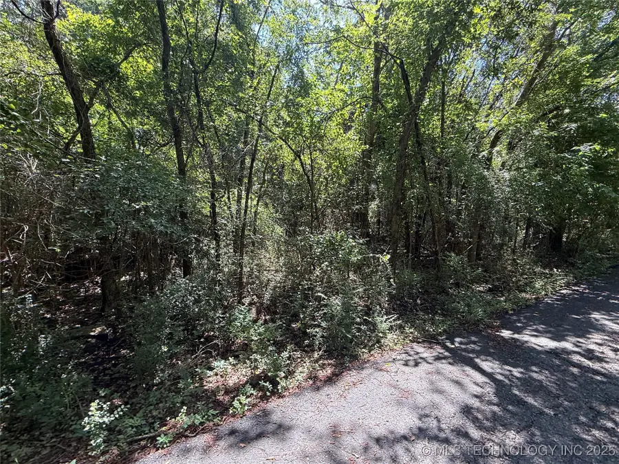 Blairwood Drive, Wagoner, OK 74477 - #2