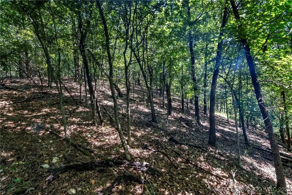 1255 Whippoorwill Road, Kansas, OK 74347 - Image #1