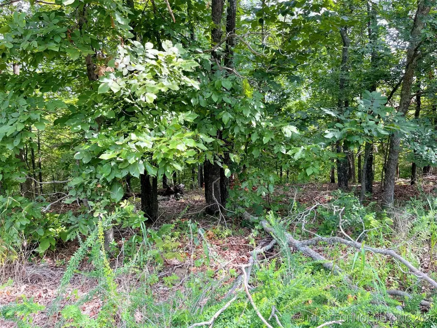 W Canyon Rock Road, Park Hill, OK 74427 - Image #3