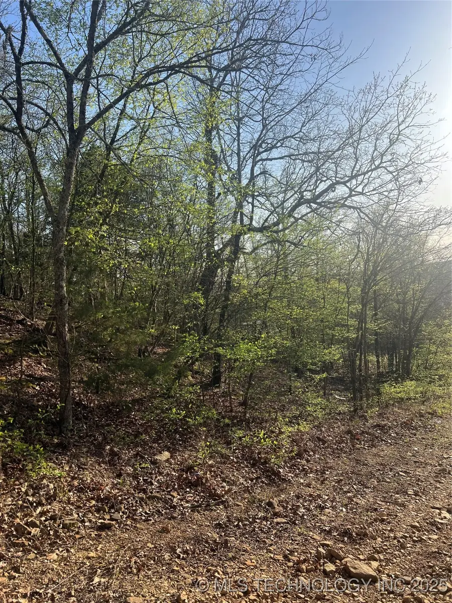 254255 W Canyon Rock Road, Cookson, OK 74451 - Image #2