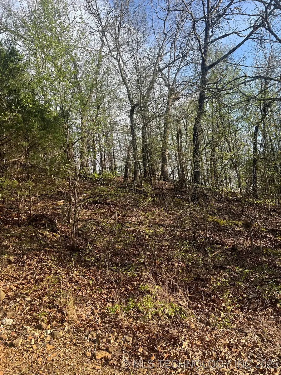 254255 W Canyon Rock Road, Cookson, OK 74451 - Image #3