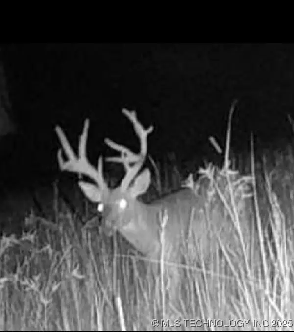 County Road 3430, Stratford, OK 74872 - Image #2