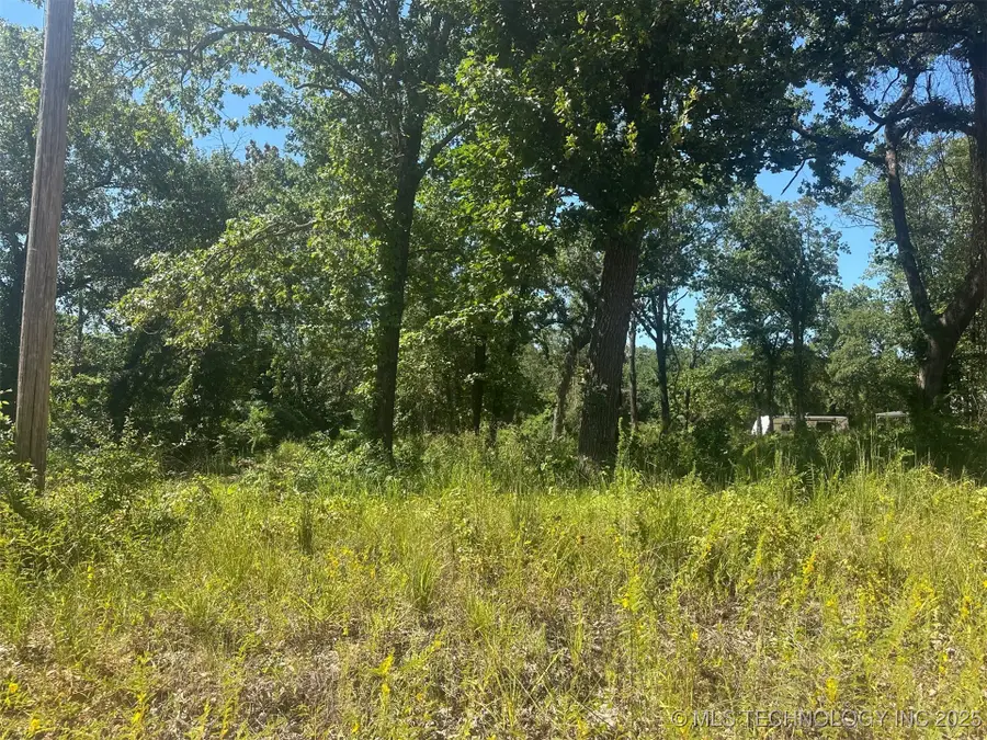 0 Driftwood Road, Kingston, OK 73439 - Image #2