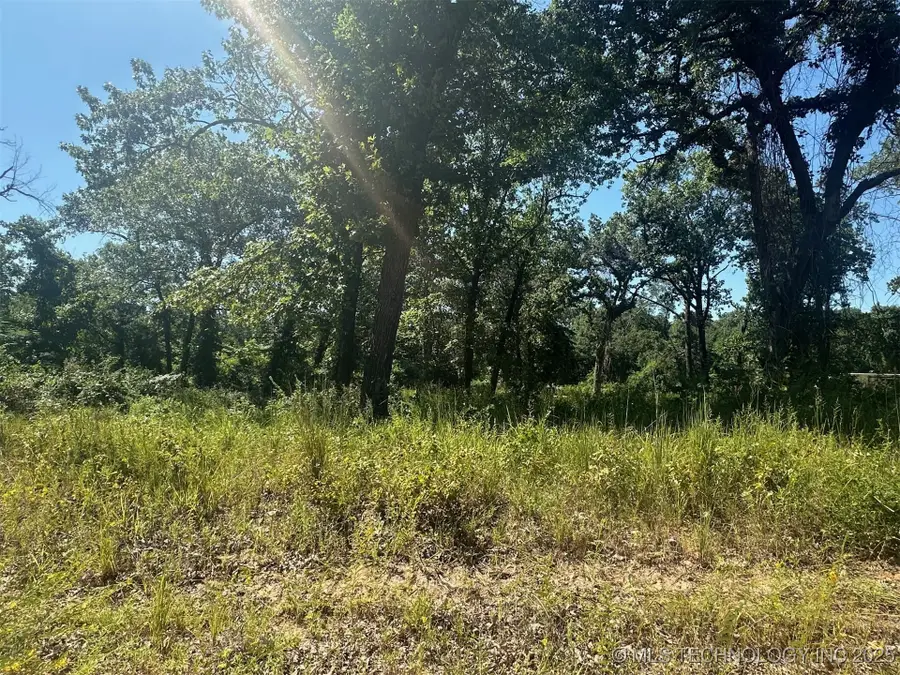 0 Driftwood Road, Kingston, OK 73439 - Image #3