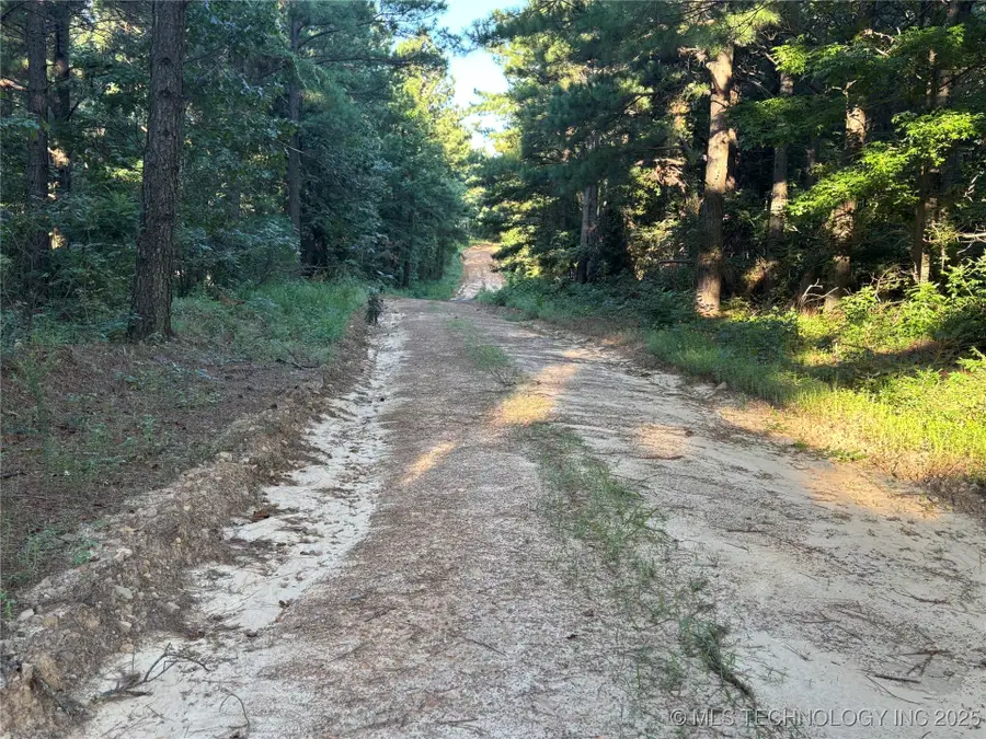 00 Indian Highway, North Pushmataha, OK 74957 - Image #2