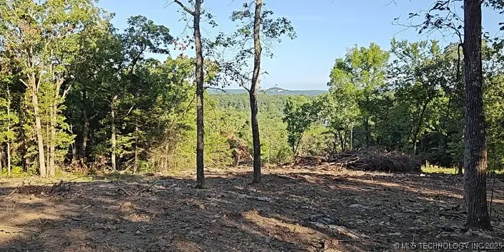 21595 W 888 Road, Cookson, OK 74427 - Image #2