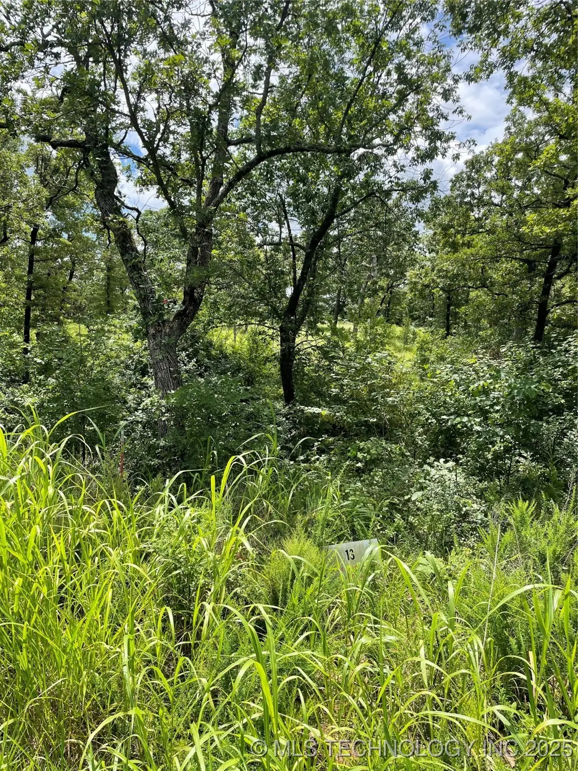 13 S Scissortail, Sulphur, OK 73086 - #1