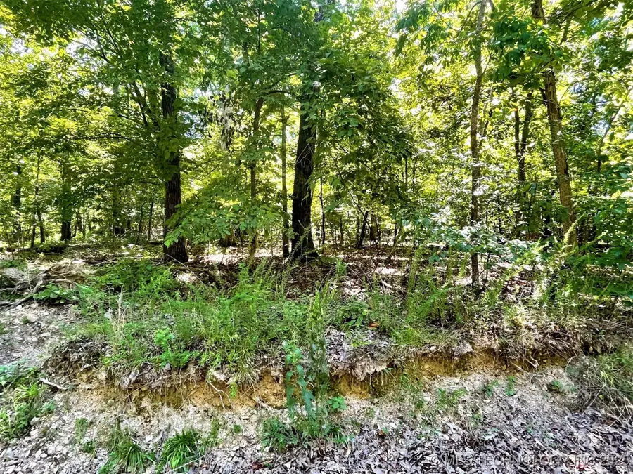 Alder Way, Tahlequah, OK 74464 - #3