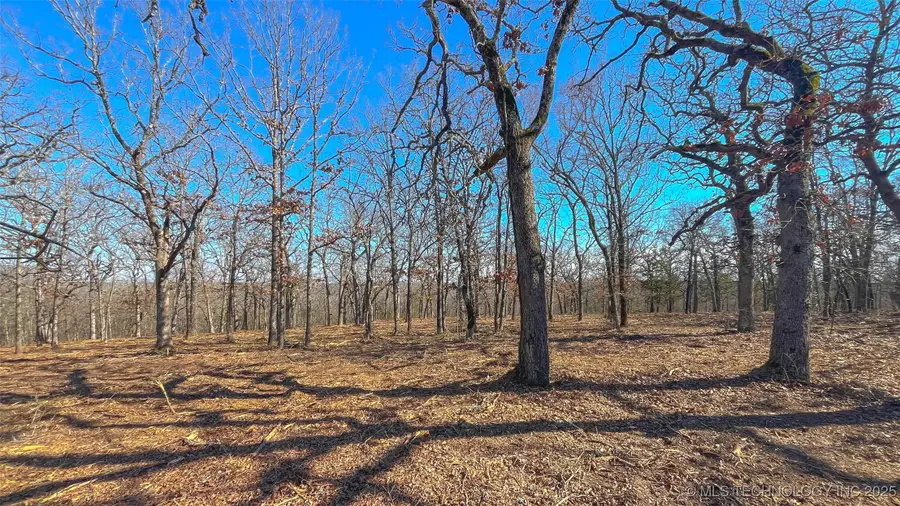 0 County Road 3630, Ada, OK 74820 - Image #2