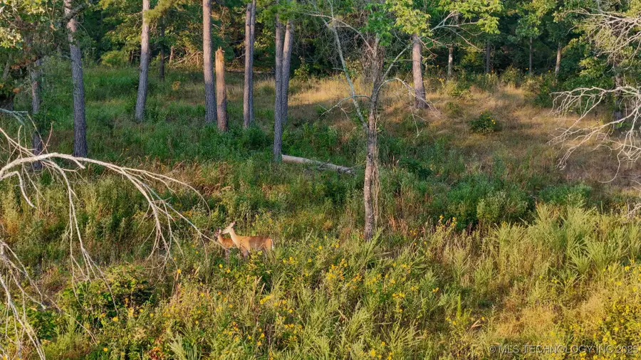 1 State Hwy 43, Clayton, OK 74536 - Image #2