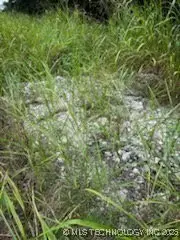 Lakeside Drive, Sapulpa, OK 74066 - Image #1