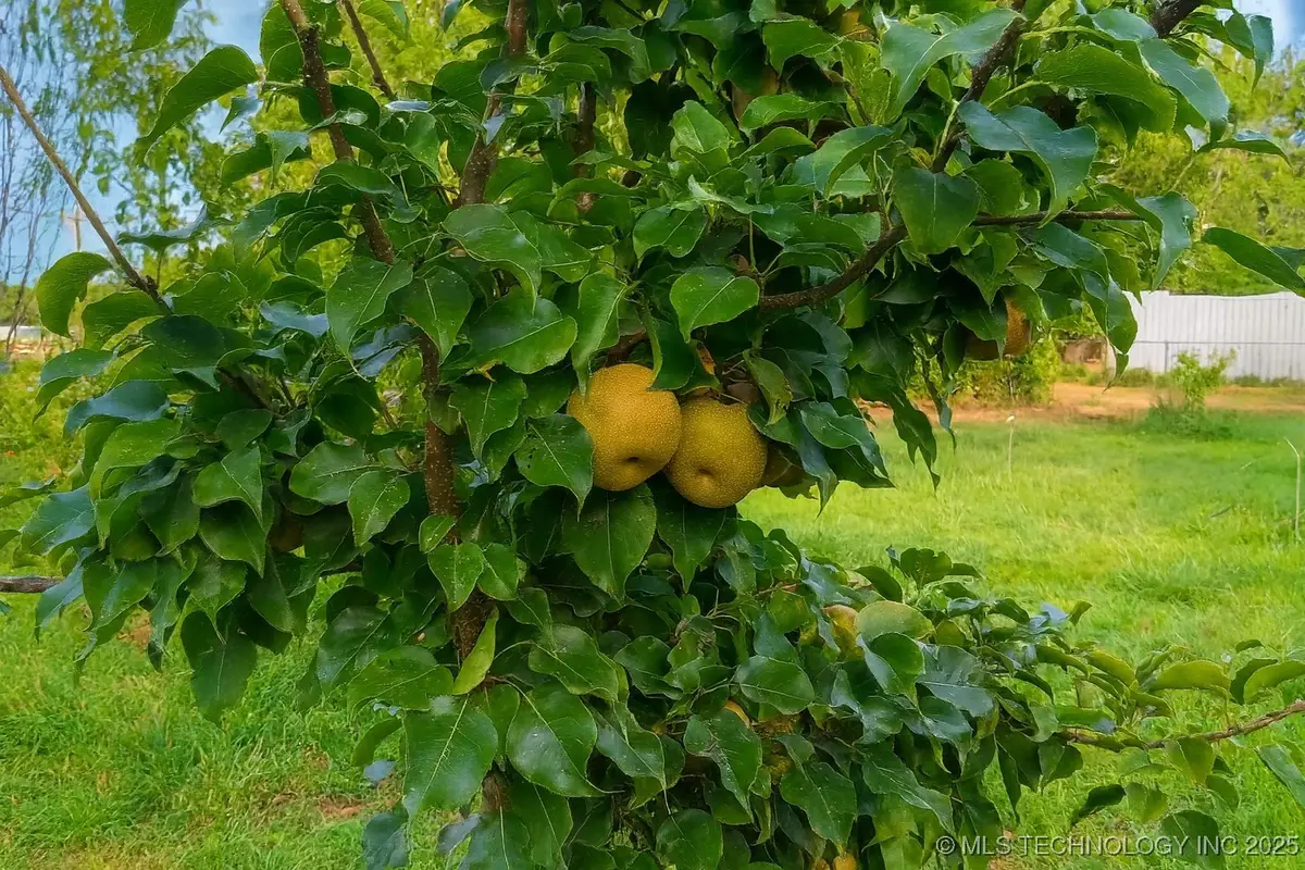 714 W Williams Street, Sallisaw, OK 74955 - Image #1