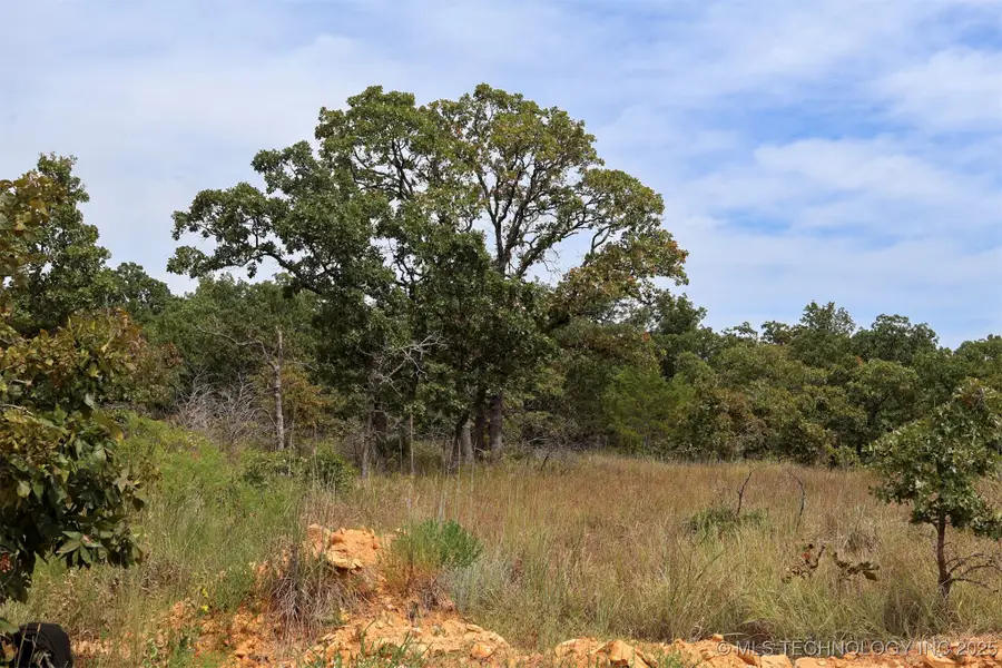 County Road 1405, Skiatook, OK 74070 - Image #3