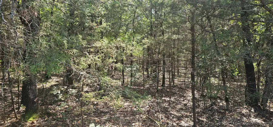 0000 Bootleg, Gore, OK 74435 - Image #3