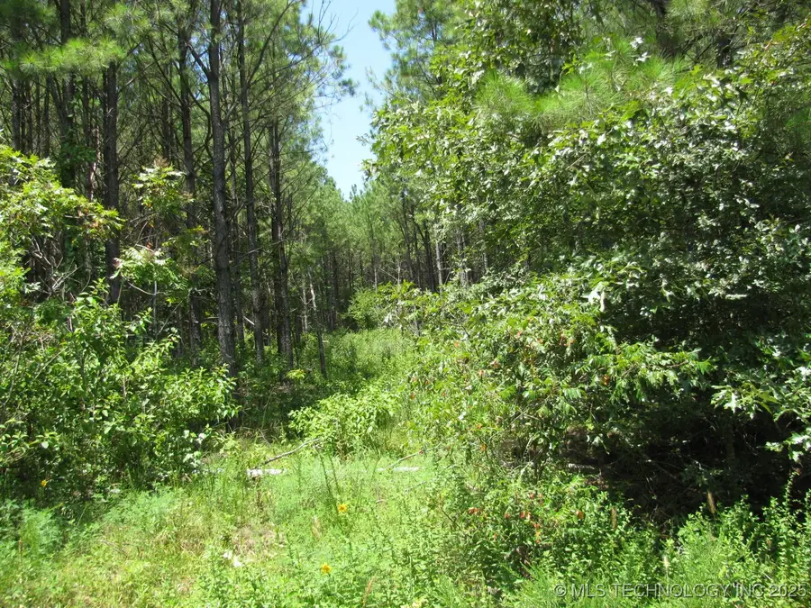 22 Private Road, Nashoba, OK 74558 - Image #3