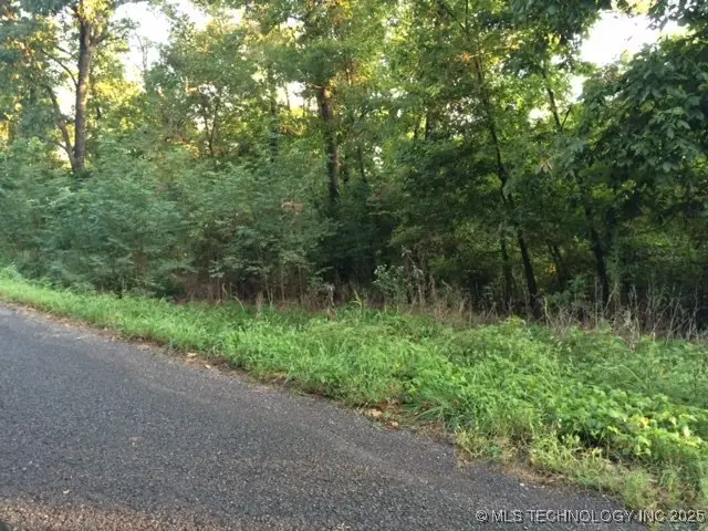 Sugar Mountain Circle, Park Hill, OK 74451 - Image #2