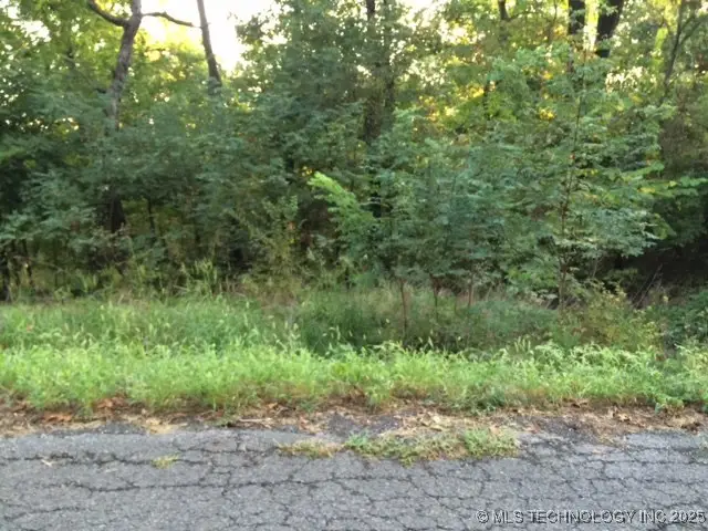 Sugar Mountain Circle, Park Hill, OK 74451 - Image #3