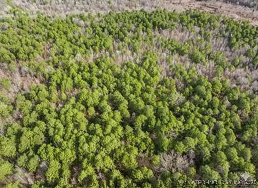 Red Road, Fort Towson, OK 74735 - Image #3