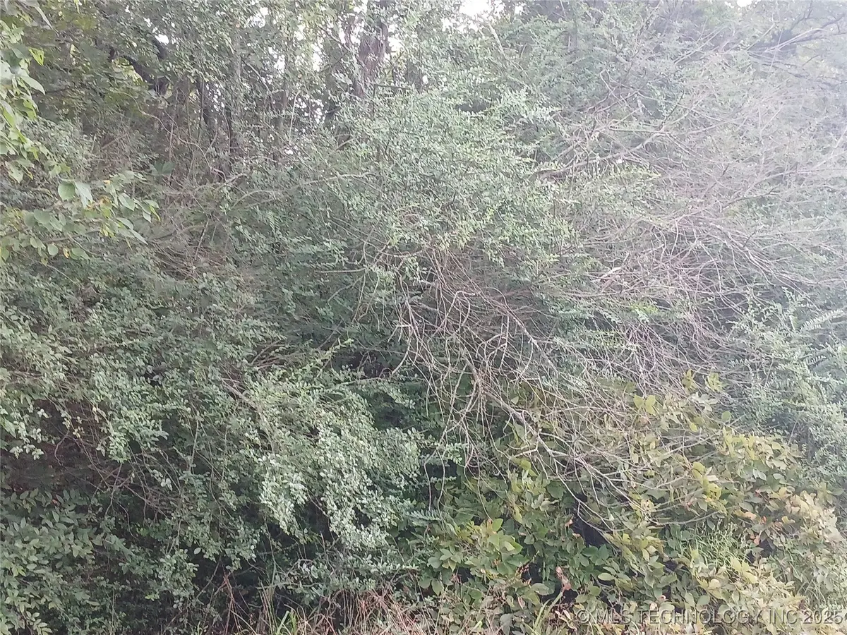 Finch Street, Bache, OK 74501 - #1