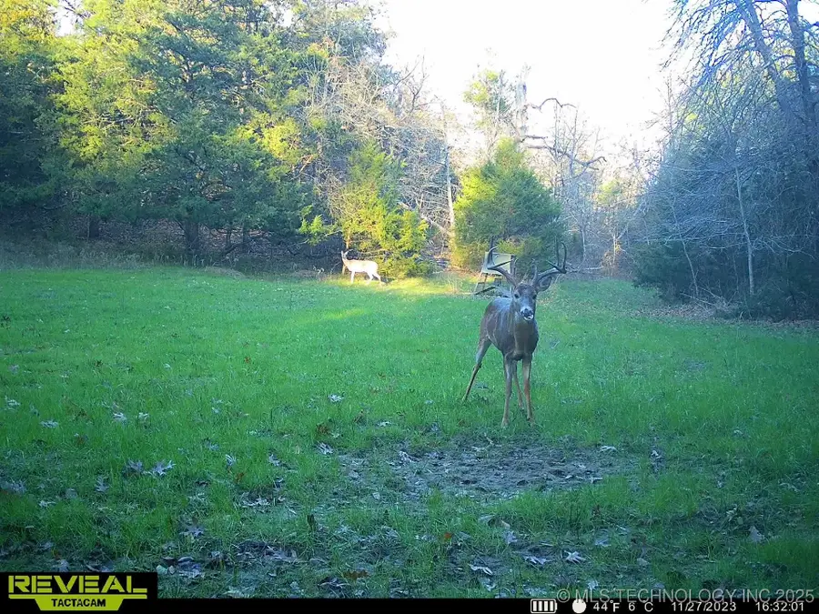 240 Magnolia Lane, Bennington, OK 74723 - Image #2