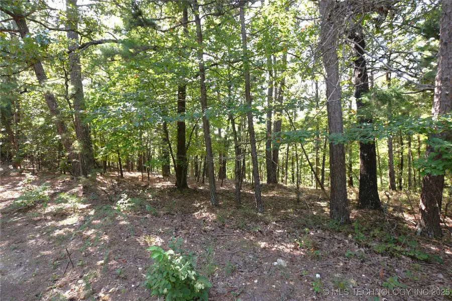 9116 E Clear Creek Road, Kansas, OK 74347 - Image #3