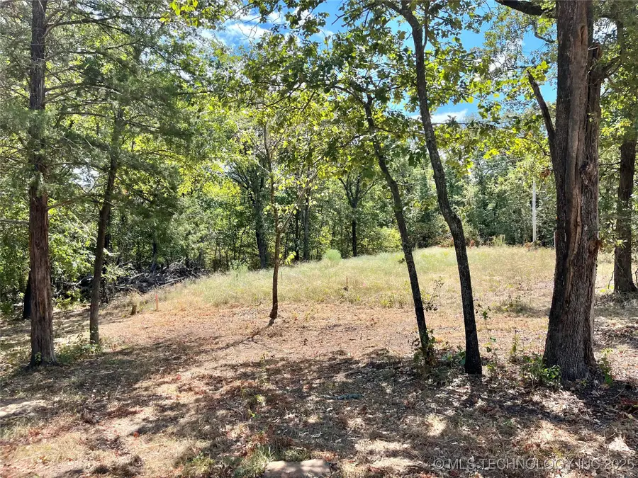 Texoma Park Road, Kingston, OK 73439 - Image #3