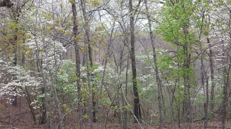 65300 Blackhawk Ridge Road, Proctor, OK 74457 - Image #2