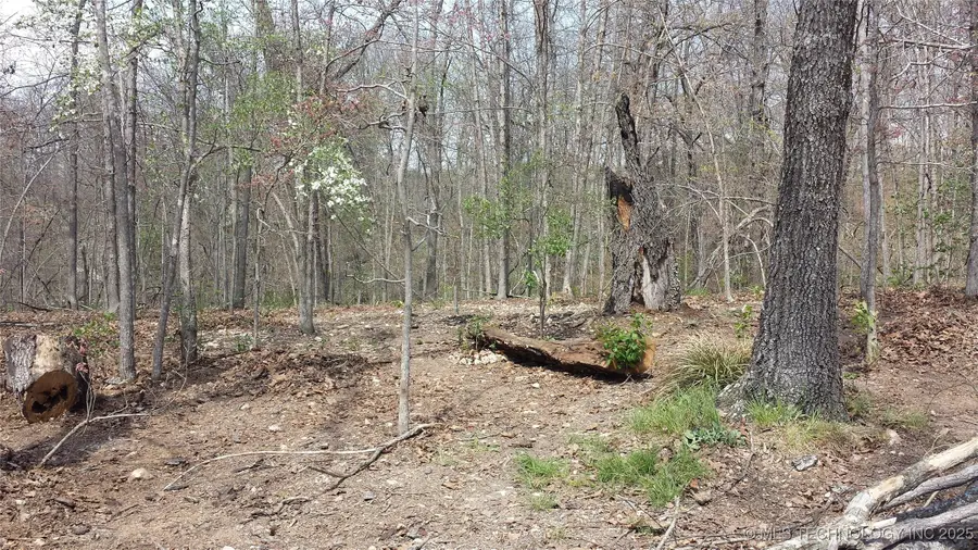 65300 Blackhawk Ridge Road, Proctor, OK 74457 - Image #3