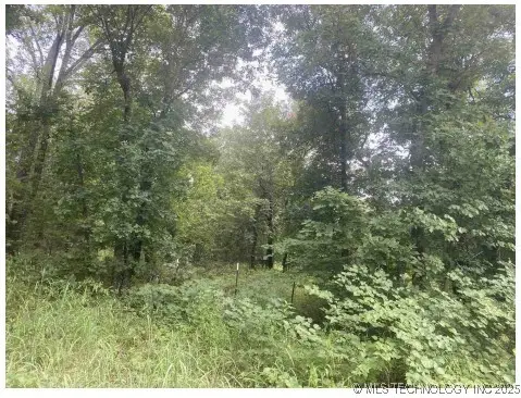 S 529th Avenue, Depew, OK 74028 - Image #2