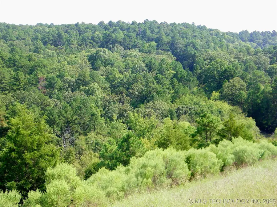 Land, Smithville, OK 74957 - #3