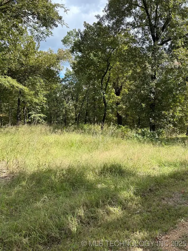 1427 W Easy Street, Tishomingo, OK 73460