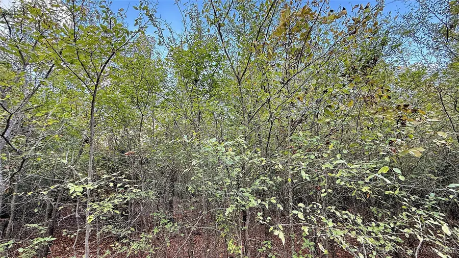 2 S 4531 Road, Vian, OK 74962 - Image #3