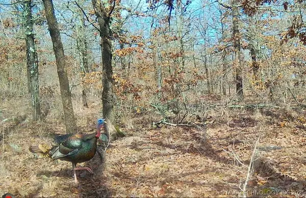 County Road 1170, Weleetka, OK 74880