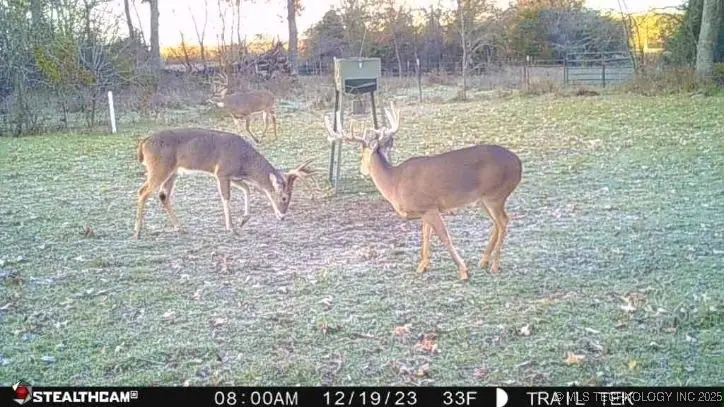 Harbert Drive, Tishomingo, OK 73460 - Image #3