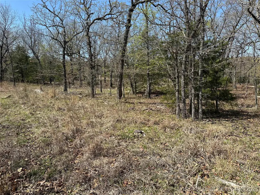 King Drive, Canadian, OK 74425 - Image #2