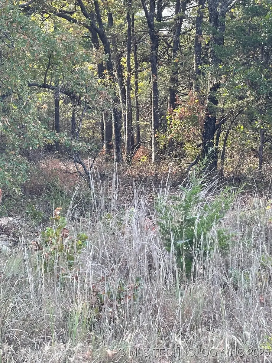 2611 S Mckenzie, Agra, OK 74824 - Image #2