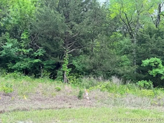 Arrowhead, Burneyville, OK 73430 - Image #2