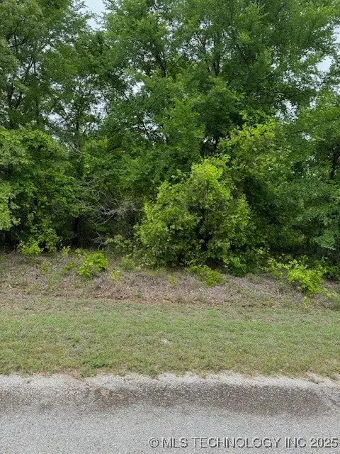 Arrowhead, Burneyville, OK 73430 - Image #3