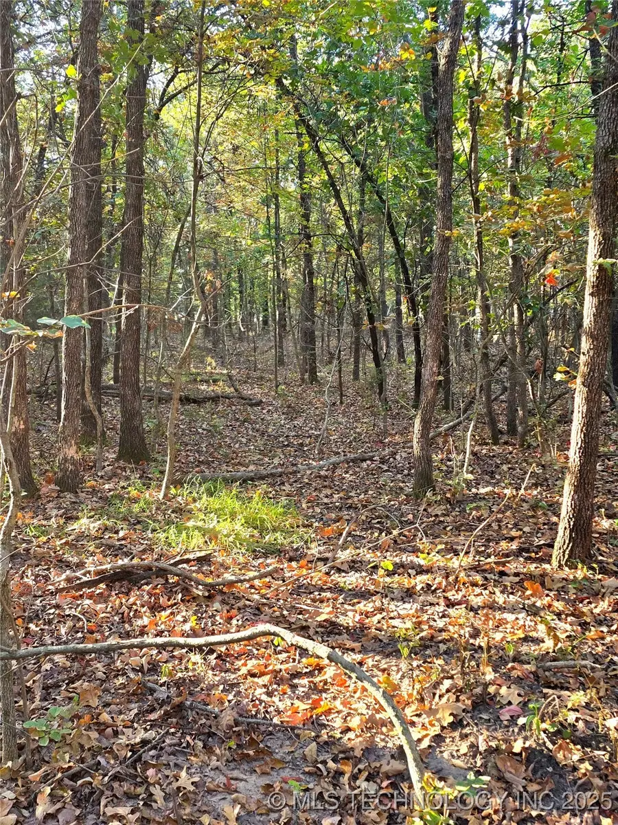 Rock Creek Road, Mannford, OK 74044 - Image #3