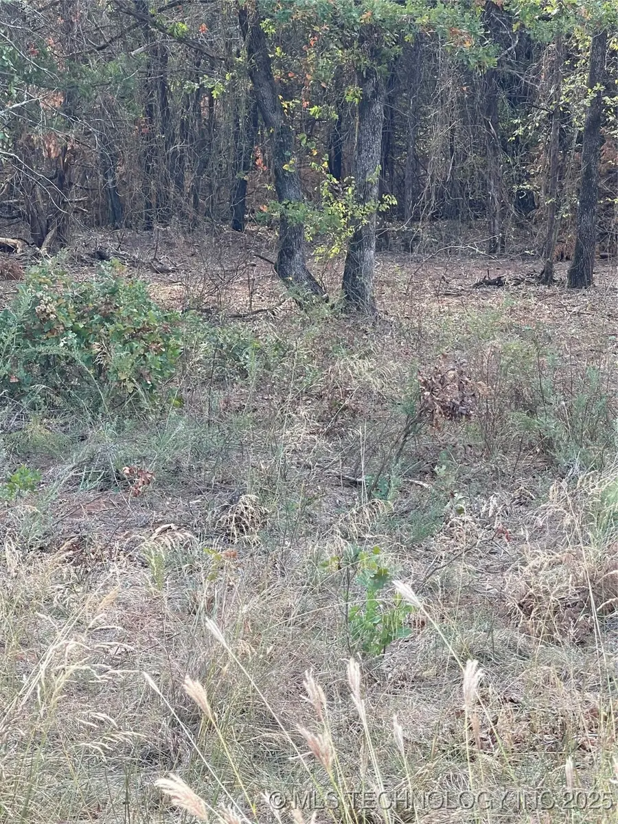 2603 S Mckenzie, Agra, OK 74824 - Image #2