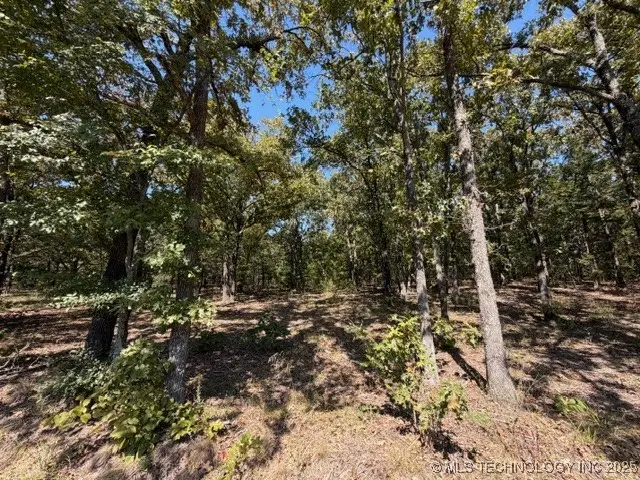 6 Brandy Lane, Tishomingo, OK 73460 - Image #2