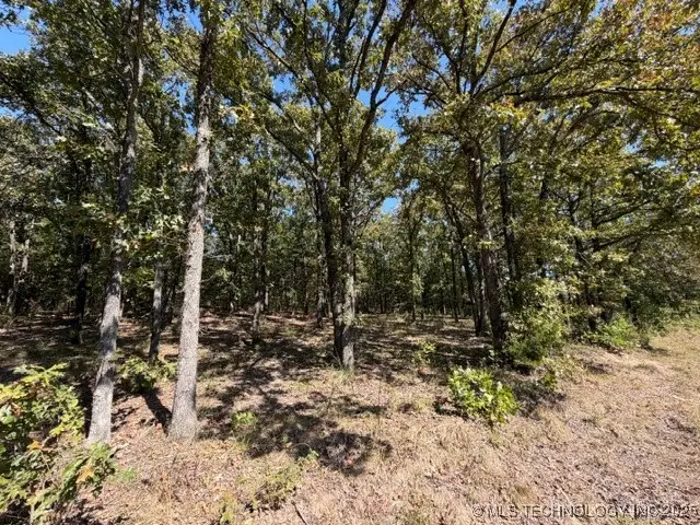 6 Brandy Lane, Tishomingo, OK 73460 - Image #3