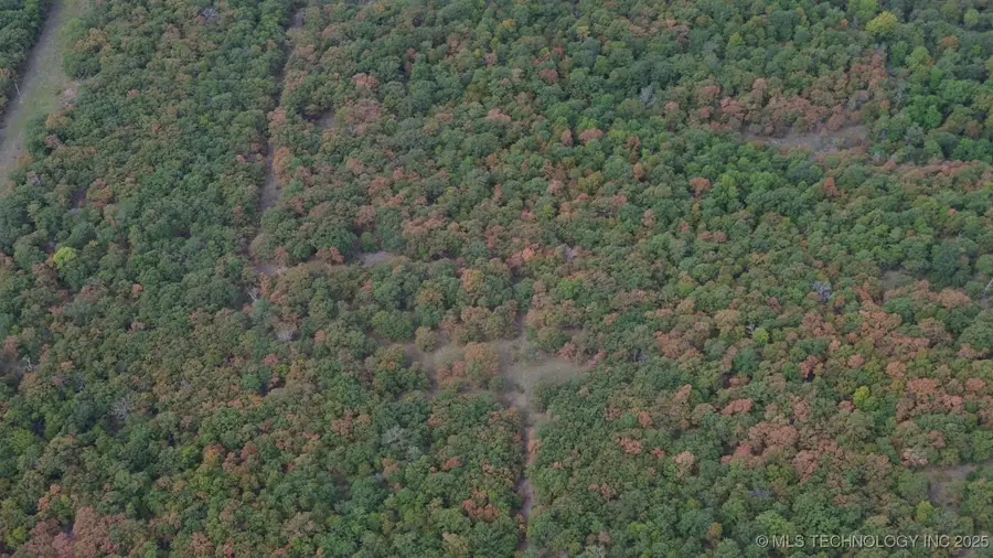 16863 N 116th West Avenue, Skiatook, OK 74070 - Image #2