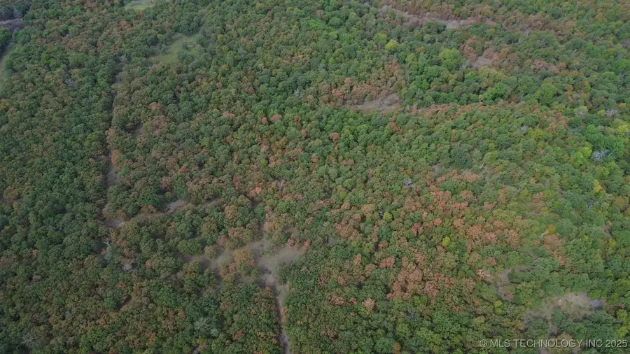 16863 N 116th West Avenue, Skiatook, OK 74070 - Image #3