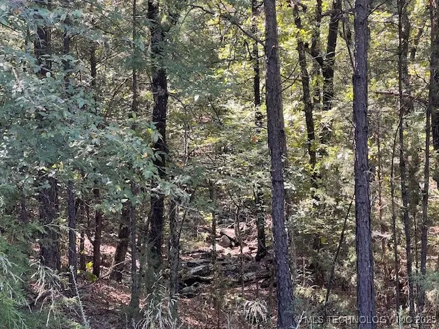 200720 E Cooper Bend Road, Kinta, OK 74552 - Image #2