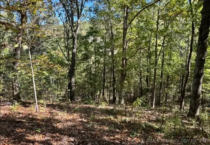 6620 N Starr Ridge Road, Proctor, OK 74457 - Image #2