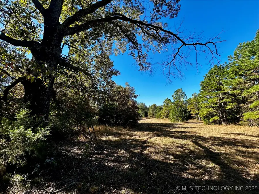 000 S Cold Springs Road, Atoka, OK 74525 - Image #3