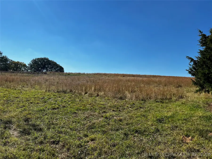 Buckholt Road, Caddo, OK 74729 - Image #2